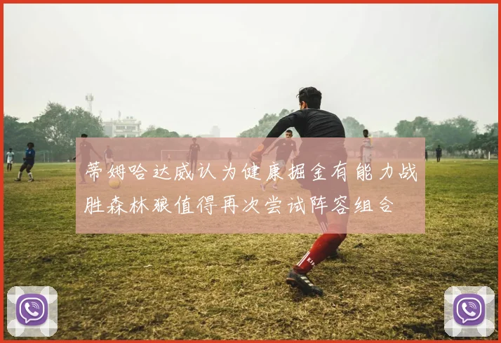 蒂姆哈达威认为健康掘金有能力战胜森林狼值得再次尝试阵容组合